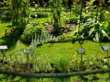 Anneroses Garten